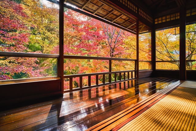 秋の瑠璃光院