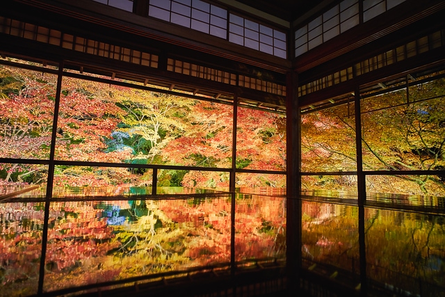秋の瑠璃光院