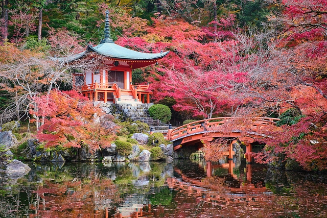 醍醐寺の紅葉