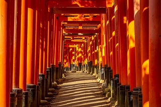 日本伏見稻荷神社千本鳥居
