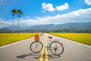 台東池上伯朗大道