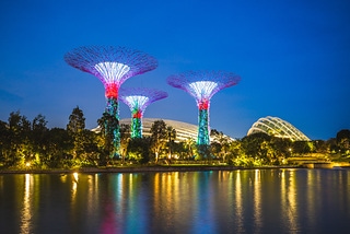 新加坡濱海灣花園夜景
