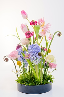 Colorful flower arrangement 色彩豐富的插花