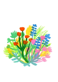 豐富的 plentiful