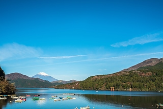 富士山及河口湖鳥居