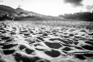 IMG_0129