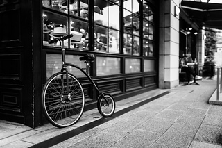 IMG_0355