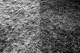 IMG_8017