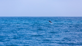 1B7A0781