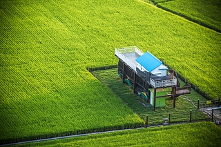 1B7A0799