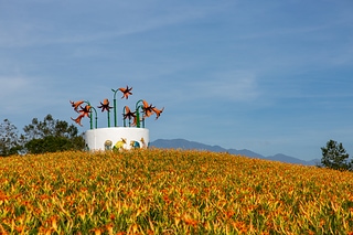 1B7A1833