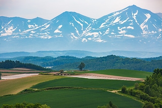 山坡