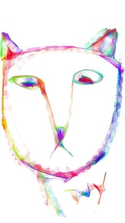 cat face