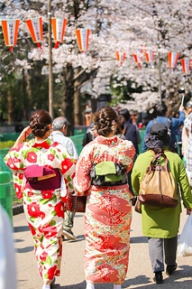 東京 櫻