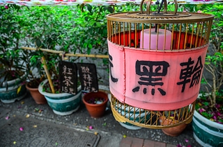 _DSC0040