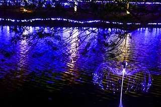 _DSC0172-1