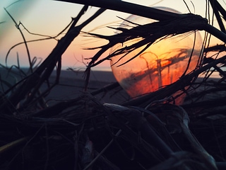 SUNSET LIGHT