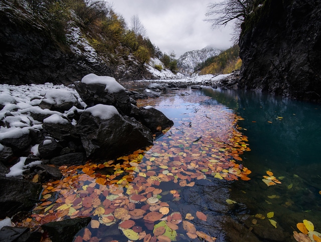Autumn and Winter are drawing pictures