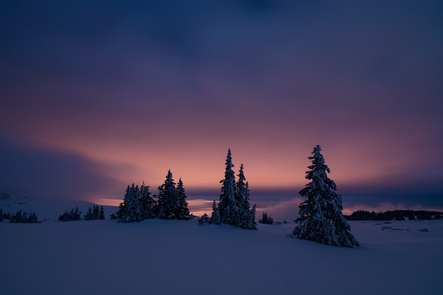Radiance