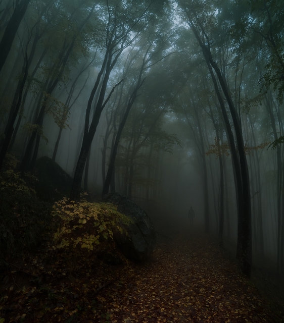 Misty memories