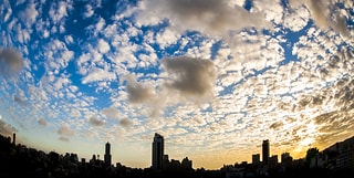 _DSC1417