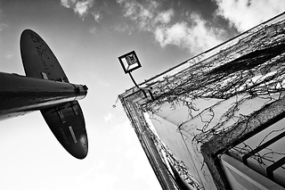 _DSC0011