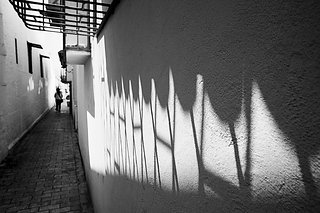 _DSC9630